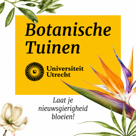 BEKIJK DE CASE Botanische Tuinen. Laat je nieuwsgierigheid bloeien